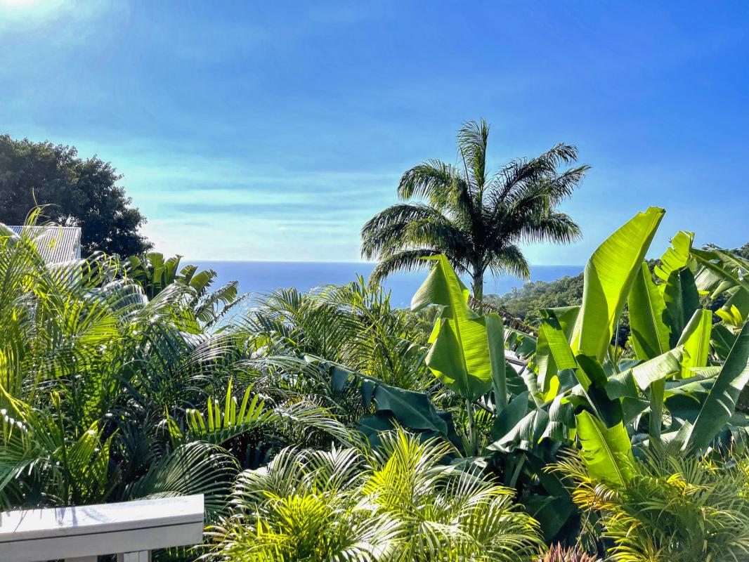 Location Villa Pointe Noire Guadeloupe-vue-24